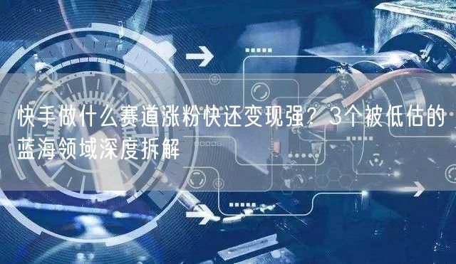 快手做什么赛道涨粉快还变现强？3个被低估的蓝海领域深度拆解