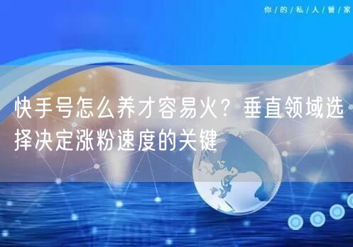 快手号怎么养才容易火？垂直领域选择决定涨粉速度的关键