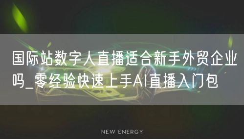 国际站数字人直播适合新手外贸企业吗_零经验快速上手AI直播入