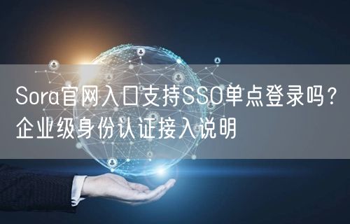 Sora官网入口支持SSO单点登录吗？企业级身份认证接入说明