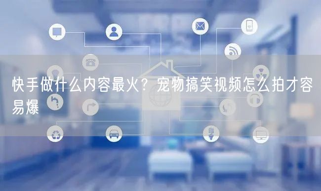 快手做什么内容最火？宠物搞笑视频怎么拍才容易爆